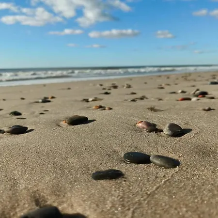 Ferienhaus 6 Person In Norre Nebel-by Traum